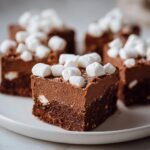 Hot cocoa fudge with mini marshmallows